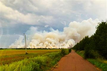 В Борском районе горело пшеничное поле