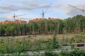Около ЖК "Новая Самара" возобновилась вырубка деревьев
