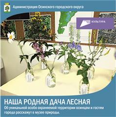В рамках нацпроекта "Культура" в Осинском музее природы открылась выставка, посвященная Лесной даче