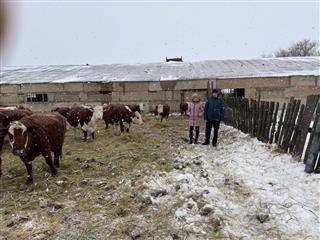 Фермер из Беляевского района успешно реализовал грант "Агростартап"