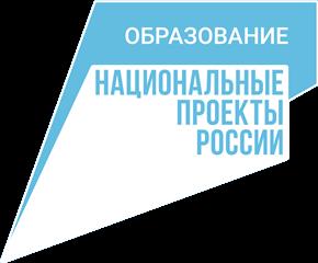 Педагоги дошкольных организаций Татарстана приняли участие в семинаре по работе в Общероссийском движении "Движение Первых"
