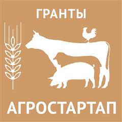 Оренбургская область получит дополнительные средства на поддержку фермеров в рамках нацпроекта