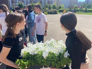 В Нижегородской области подвели итоги экологического проекта #Безбумаги