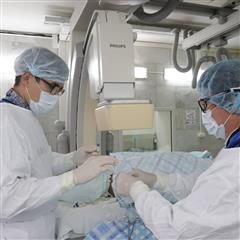 В кардиоцентре успешно проводится ретроградная реканализация хронической окклюзии правой коронарной артерии