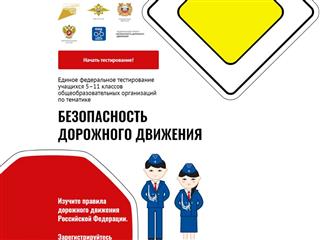Самарские школьники участвуют в едином федеральном тестировании по безопасности дорожного движения
