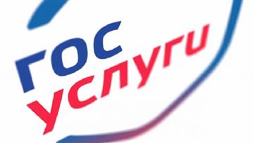 До конца года в Башкортостане станут электронными еще семь популярных для населения госуслуг