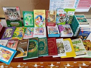 Кенгер-Менеузовская сельская библиотека улучшила материально-техническую базу