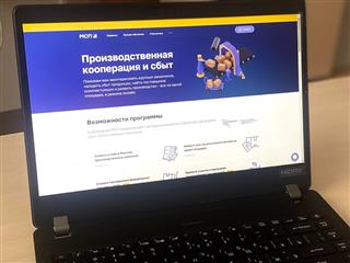 Нижегородские предприниматели могут на платформе МСП.РФ провести онлайн-анализ спроса крупных компаний