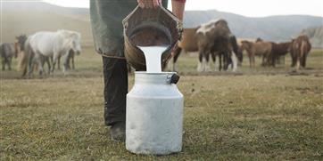 Пройдя обучение в Школе фермера, предприниматель из Прикамья займется производством кобыльего молока