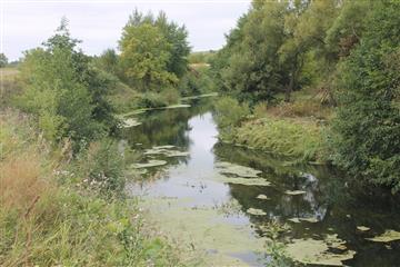 В рамках федерального проекта "Сохранение уникальных водных объектов" работы выполнены в полном объеме