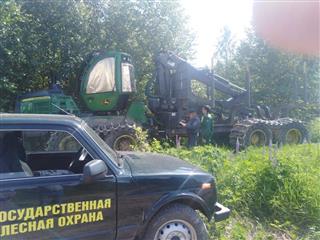 В Башкортостане в ходе оперативно-профилактических мероприятий «Лес» выявлено 239 нарушений лесного законодательства