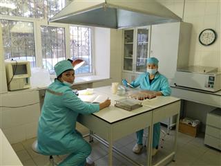 Благодаря нацпроекту в Башкортостане в два раза вырос объем субсидий на модернизацию ветеринарных лабораторий