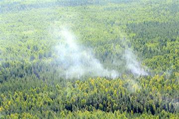 В Кировской области в три раза повысилась оперативность обнаружения лесных пожаров