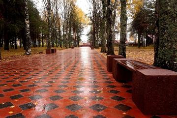 В Лузе по нацроекту благоустроят парк культуры и отдыха