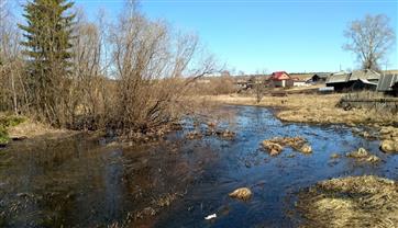 В Прикамье определят подрядчика по расчистке реки в рамках нацпроекта "Экология"