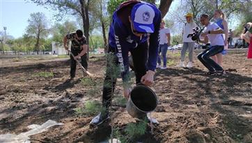 В рамках акции "Сад памяти" высажено 40 деревьев в парке имени Ленина в Оренбурге