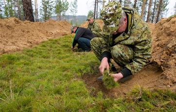 В рамках нацпроекта в Пермском крае высадили 20 тыс. сеянцев ели и кедра