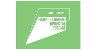В Оренбуржье шарлыкские лесоводы весной высадят 500 тысяч саженцев