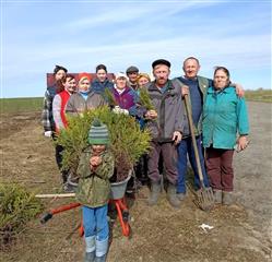 Аллеи памяти создали жители Моргаушского округа Чувашии в честь участников СВО