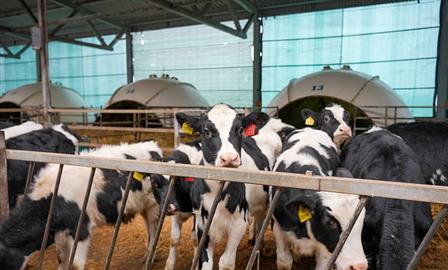 В Кировской области на развитие АПК направлено более 2 млрд рублей