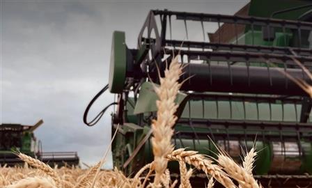 Итоги года, Ульяновская область: сельское хозяйство