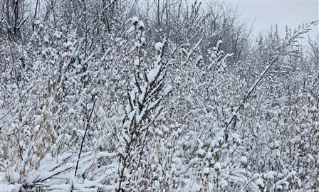 В Чувашии в ряде населенных пунктов произошло отключение электроэнергии из-за погоды 