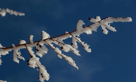 К выходным в Самарскую область придут крещенские морозы