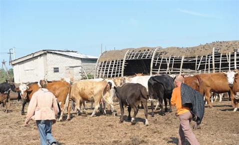 Темпы строительства улично-дорожной
сети в поселке Волгарь зависят
от решения арбитражного суда