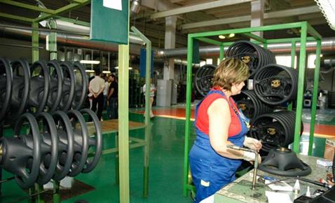 Мировые производители
автокомпонентов должны стать одними из
ключевых резидентов тольяттинской ОЭЗ