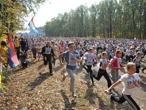 В "Кроссе Нации-2014" приняли участие более 17 тыс. жителей Самарской области