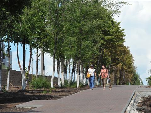 В Самаре продолжается благоустройство зеленой зоны на ул. Ново-Садовой