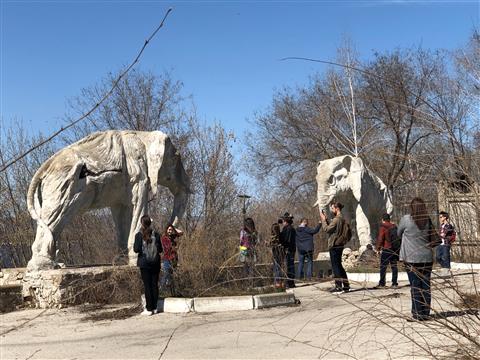 В "Доме со слонами" состоялась последняя экскурсия, скоро памятник закроют на реставрацию