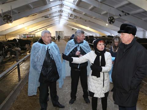 Николай Меркушкин посетил молочную ферму в Ставропольском районе