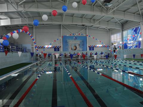 Николай Меркушкин: В новом бассейне для студентов СГЭУ созданы лучшие условия для занятий спортом