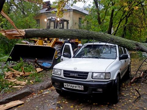 В Самаре на ул. Гая на автомобиль упало дерево