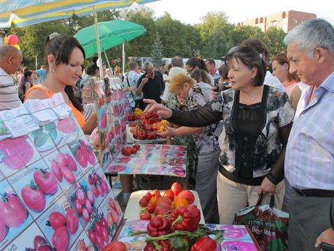 Сызрань стала центром гастрономического паломничества любителей томатов