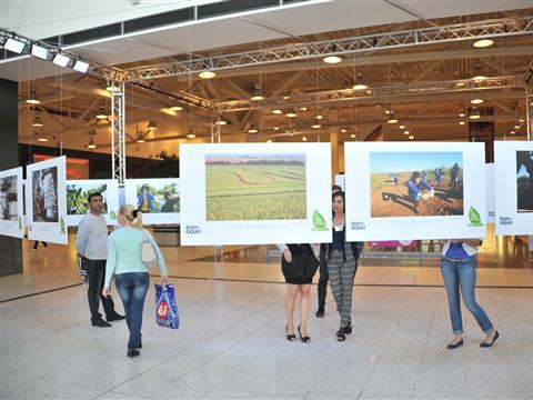 В Самаре открылась фотовыставка об экологических инновациях