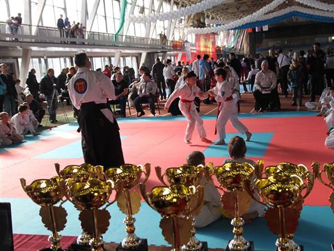 В Самаре прошел юношеский фестиваль единоборств и боевых искусств