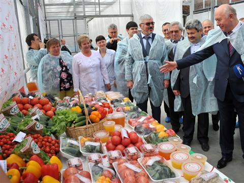 ОАО "Тепличный" запустило новую теплицу для выращивания томатов