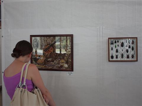 В музее Алабина выставили картины из крыльев бабочек