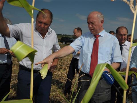 Николай Меркушкин оценил работу одного из крупнейших сельхозпредприятий Похвистневского района