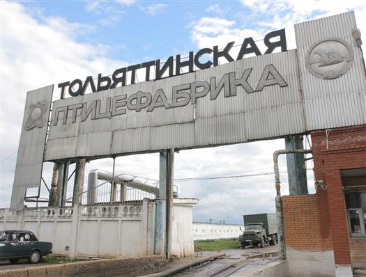 Тольяттинская птицефабрика вложит в расширение производства 2 млрд рублей