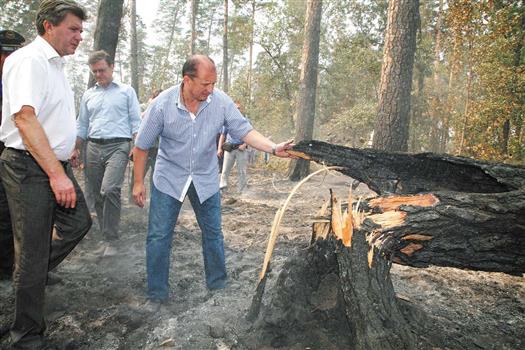 Губернатор Владимир Артяков осматривает сгоревший участок леса у поселка Портовый (Тольятти)