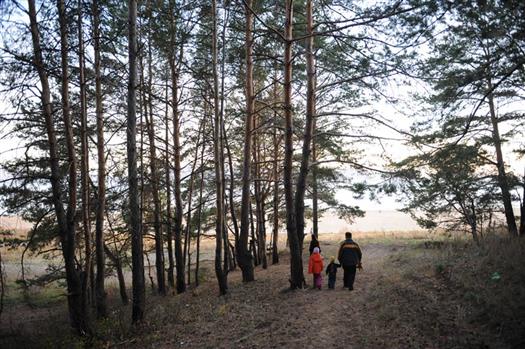 "Легкие" Тольятти - лесной массив - не дает покоя городским чиновникам...