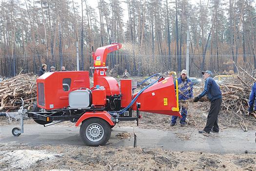 Несколько организаций, которые взялись расчищать горельники Тольятти после масштабных лесных пожаров 2010 года, не выполнили в срок свои обязательства. В региональном Минлесхозе не исключают, что затянувшийся конфликт может перейти в судебную плоскость.  