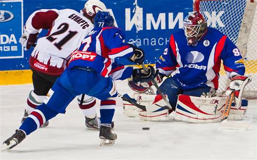Степанец в качестве профессионального хоккеиста выступал в ряде российских клубов