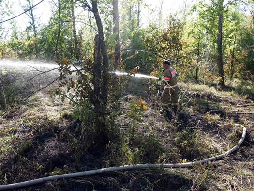На острове Поджабный горело 1,5 га леса