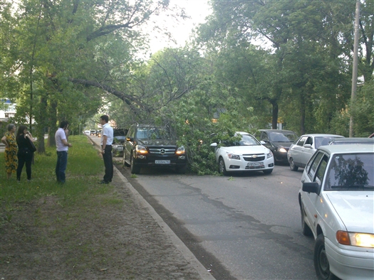 В пятницу, 17 мая, на ул. Революционной в Самаре дерево упало на два автомобиля