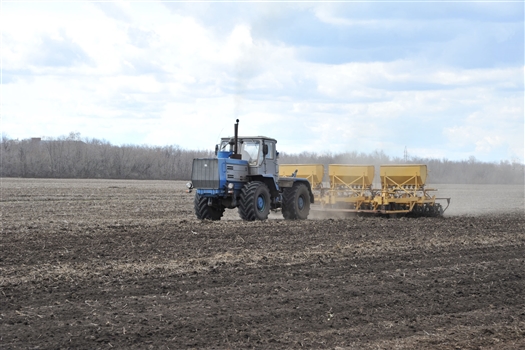 Областной минсельхоз получит более 500 млн руб. из федерального бюджета