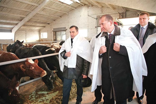 Владимир Артяков на примере молочного комплекса «Радна» оценил, как реализуются меры господдержки сельхозпредприятий области